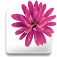 Illustrator CS